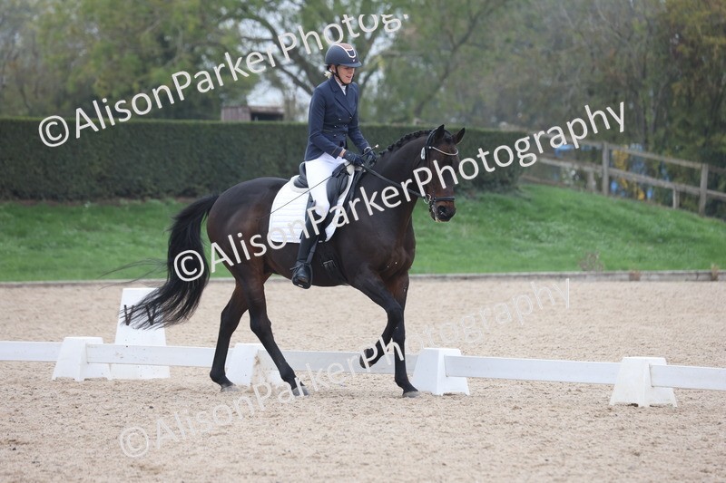 20251012-0774 - Class 7 - Medium 5