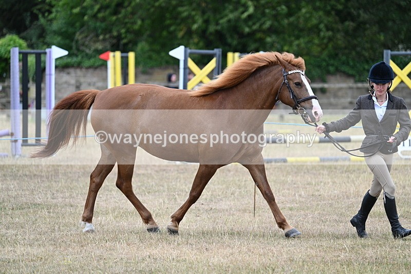 WJ7_8184 - Class 4 Prettiest Mare up to 14.2hh