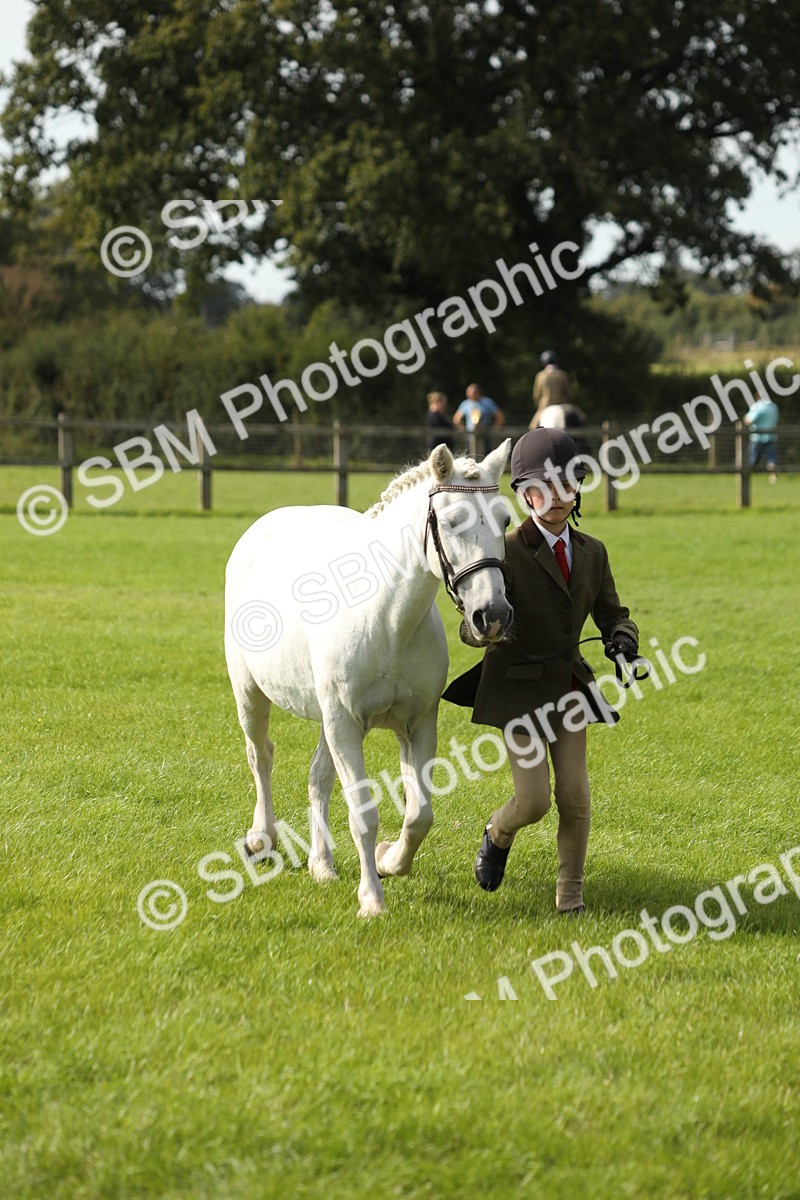 SBM_68643 - S40 - Junior Handler 9-12 Years