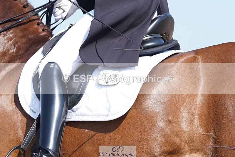 250404-144144-06753 - 149-Nathalie.Wahlund-Gorklintgards.Scorpion