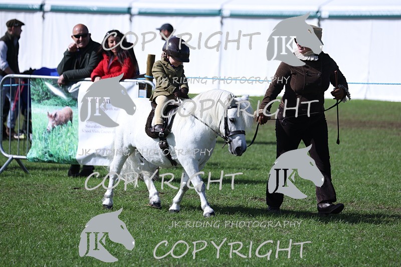 APP_3855 - Class 13 Lead rein