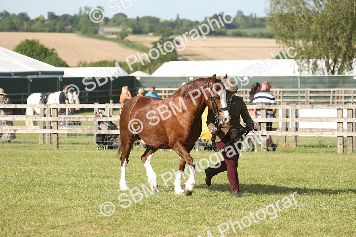 SBM_10351 - Class 33-38 - SSADL RIHS Qualifiers