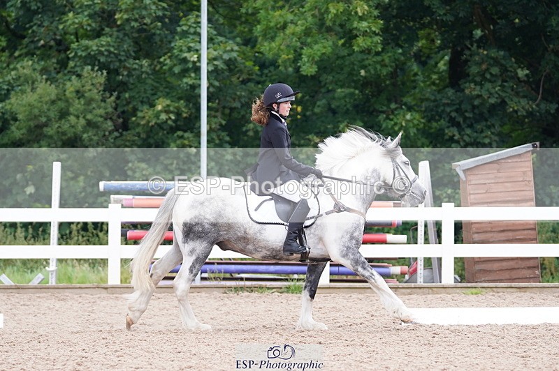 240809A-102002-00493 - Dressage Competition
