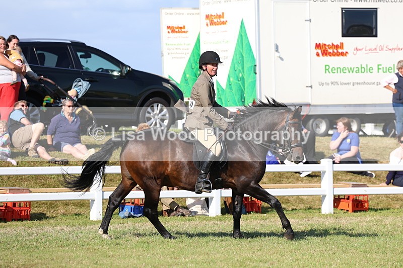 3E7A4141 - Supreme Championship