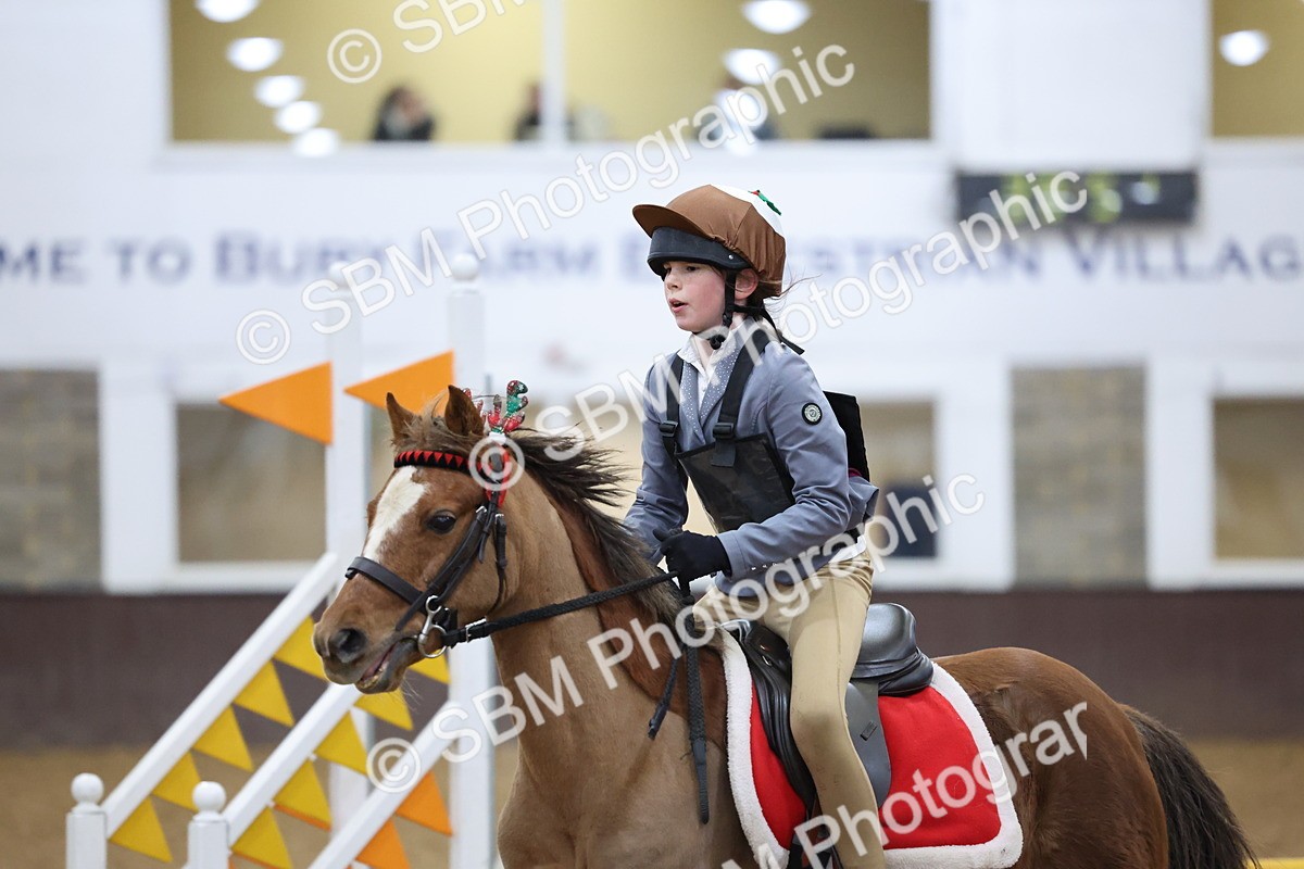 SBM_001098 - Class 3 - Christmas Tree Stakes - 60cm