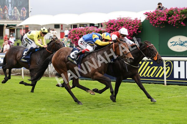 yr24092021r2-24 - Race 2 2.05pm William Hill Extra Places Races Stakes