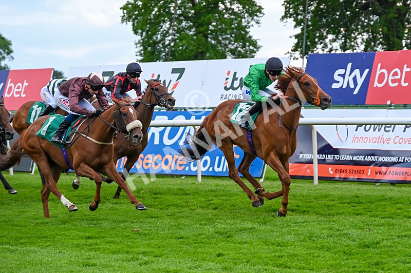 310526-Race 7-Annastarzy-9428 - Race 7 18.45pm Sky Bet Build A Bet Fillies' Handicap
