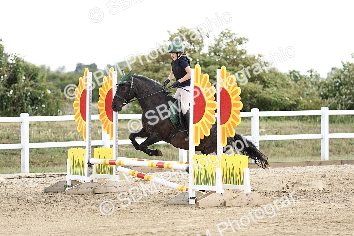 SBM_004072 - 60cm showjumping