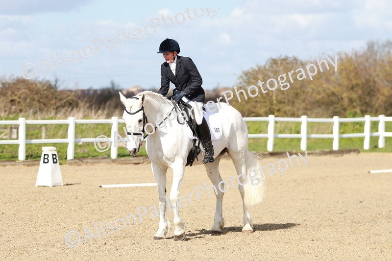 20260314-2979 - DR3 - Prelim 1