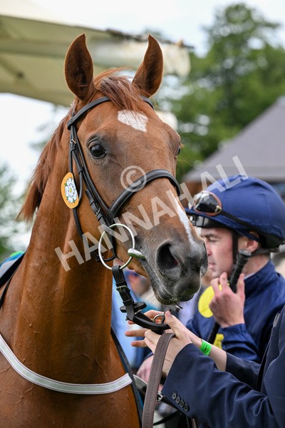 260725-Race 1-Golden Palace-0239 - Race 1 1.25pm £100K ITV7 Jackpot Today EBF Fillies' Novice Stakes