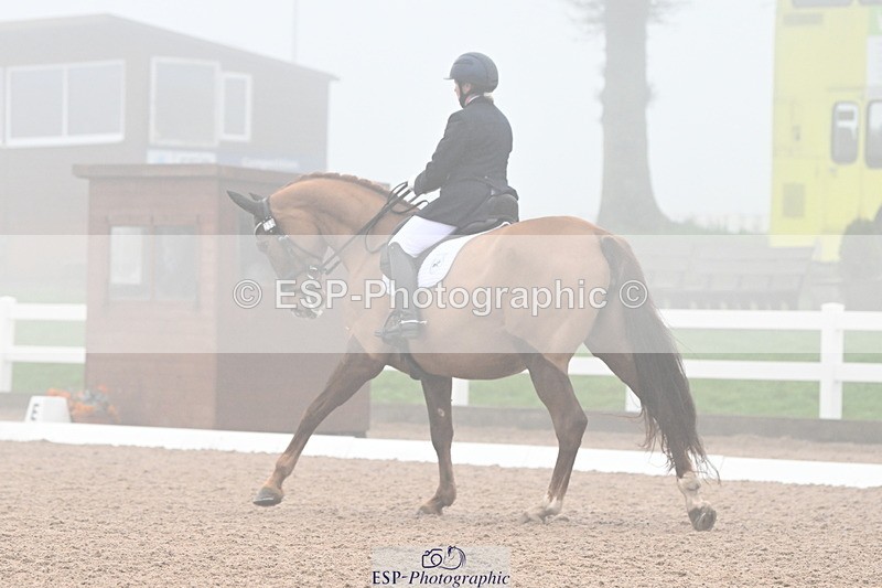 240217A-135153-03491 - 259-Claire.Speer-Joyful.Optimism