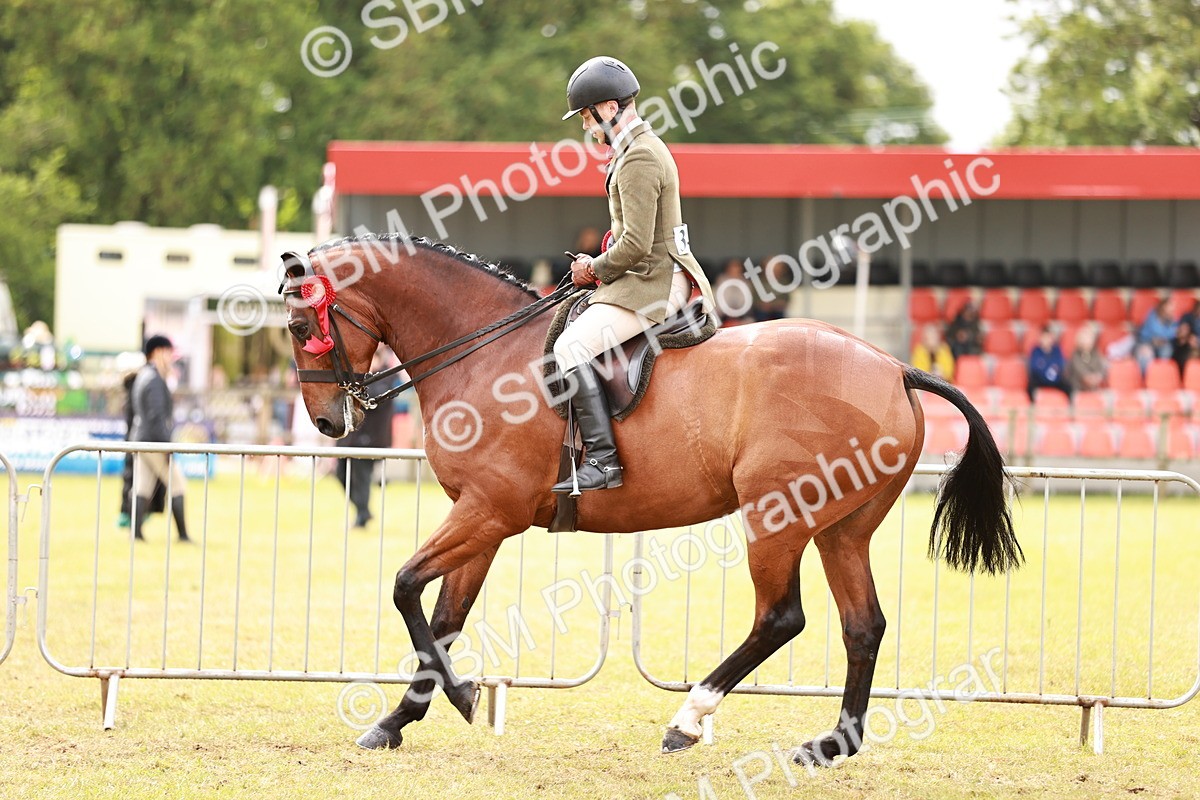 SBM_11587 - Class 81-84 - RIHS Ridden hunters Inc Ladies Hunter