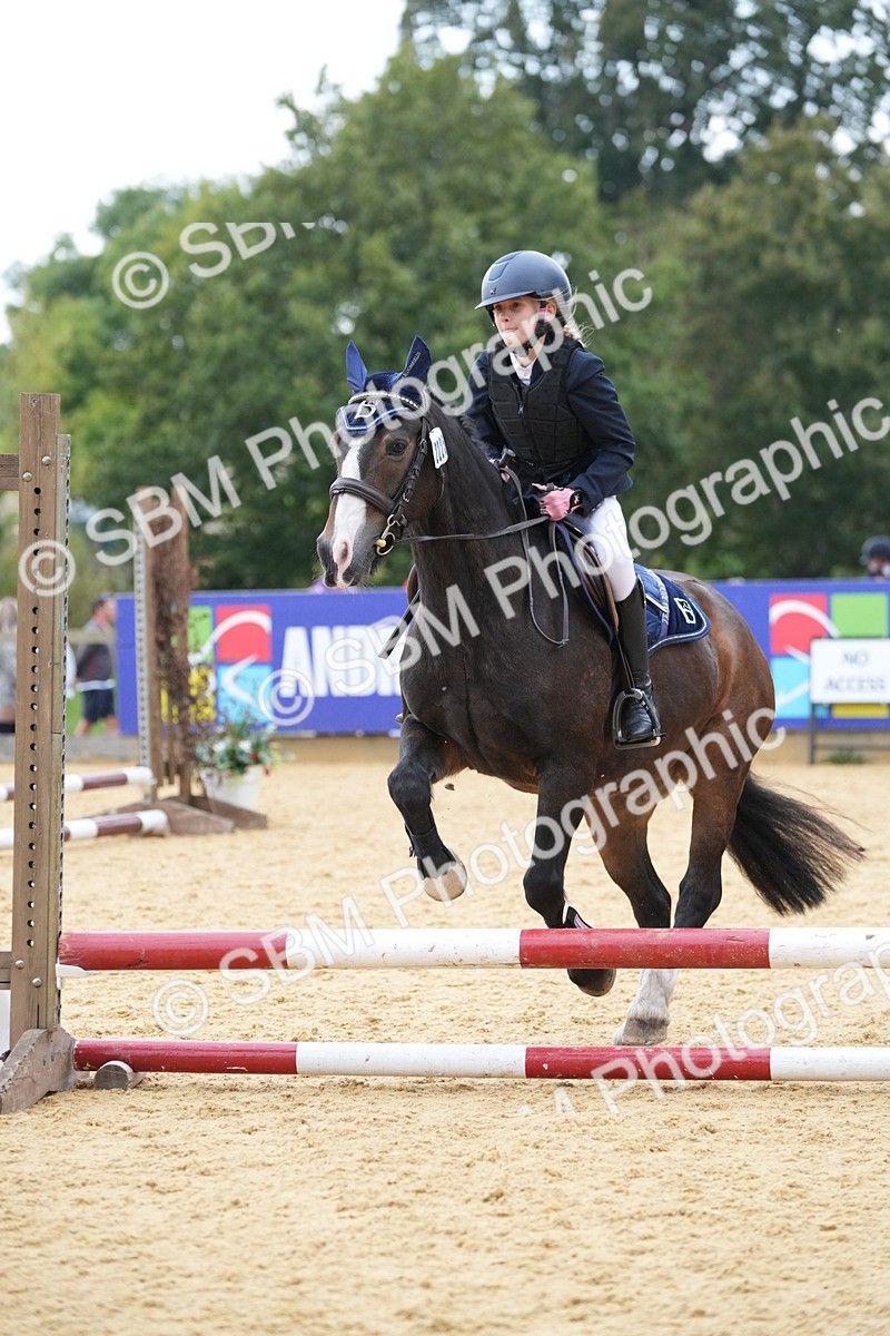 SBM_74655 - J4 - Mini Tour Junior Pony 45cm Championship
