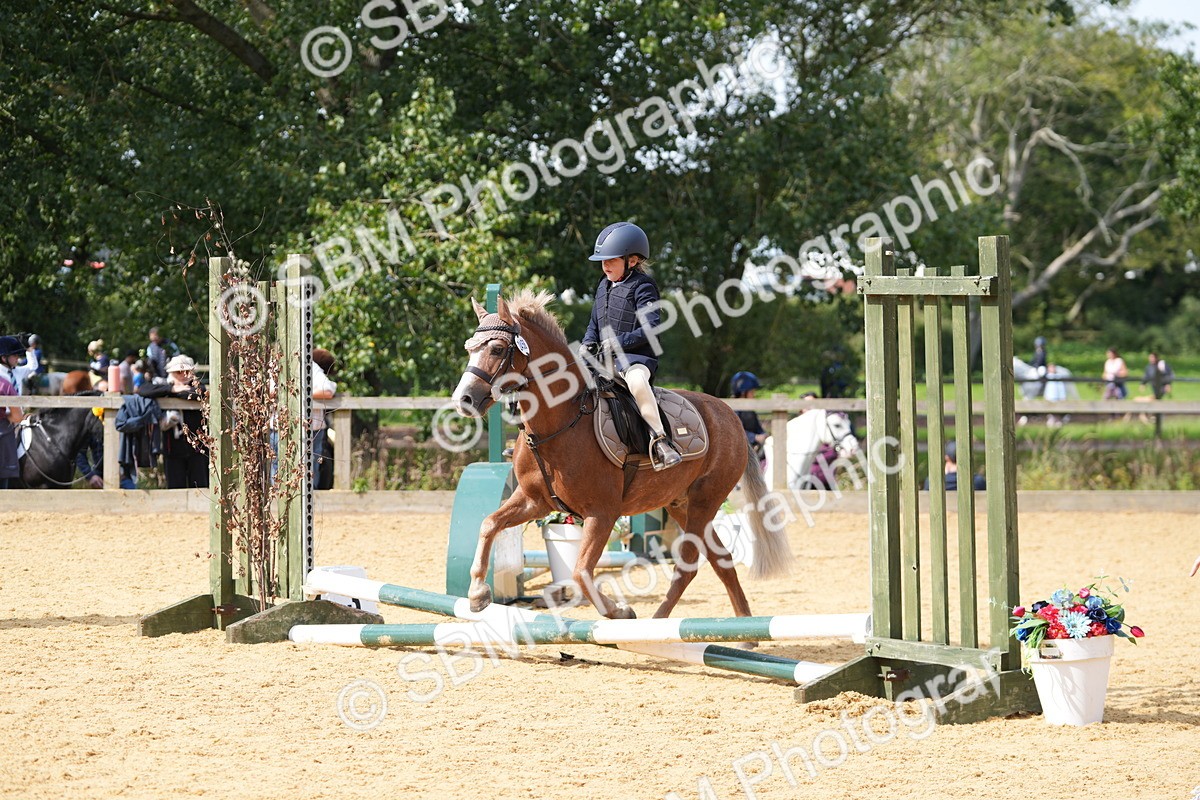 SBM_65788 - J2 - Mini Tour Junior Pony 30cm Championship