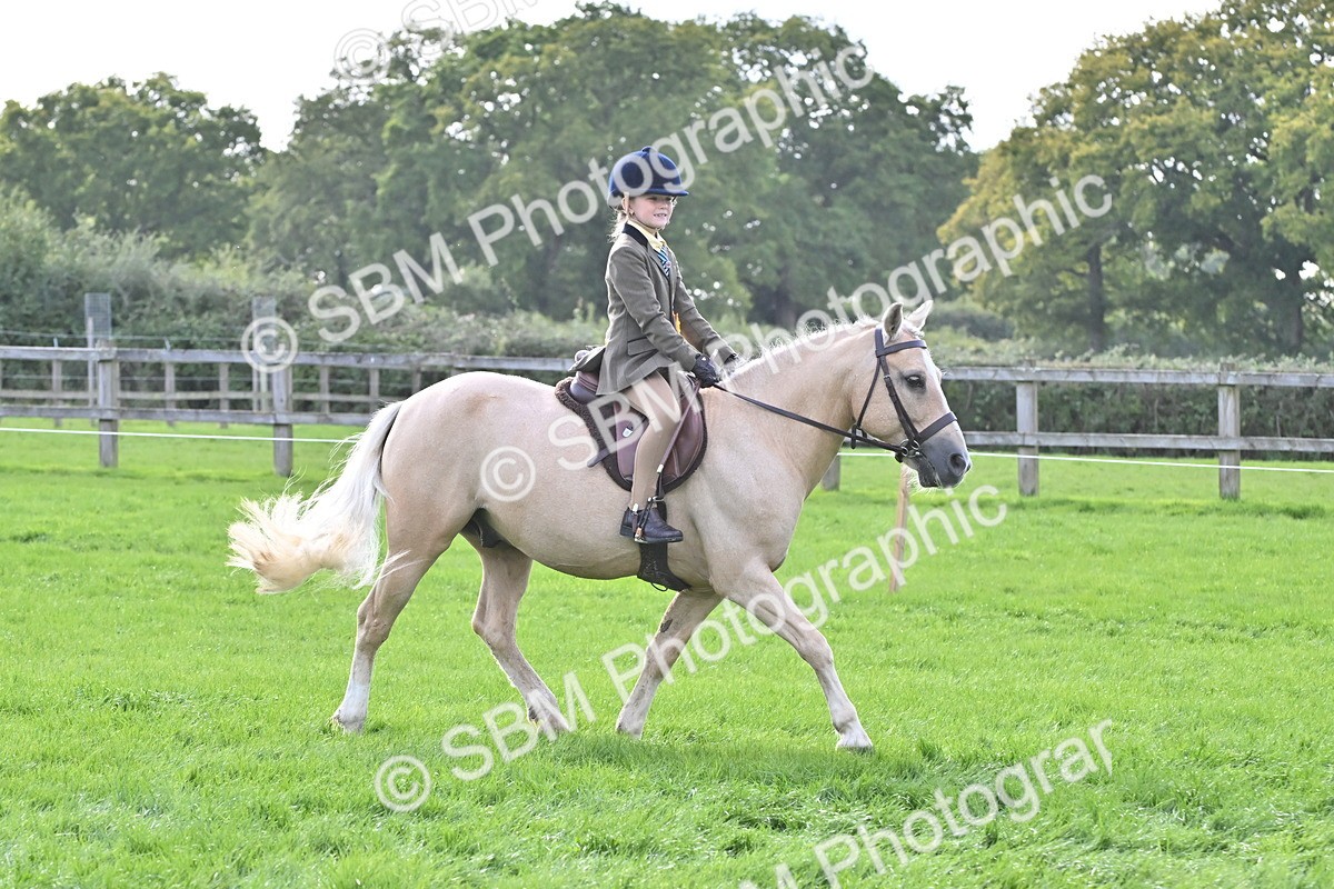 SBM_48456 - S21 - Novice & Newcomers First Ridden