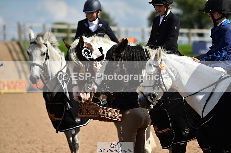 230902A-144758-01819 - Cls 3B Pony Medium 90cm