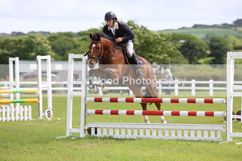 3E7A7412 - Class 13: Senior British Novice/90cm open