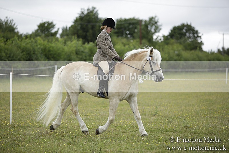 BVR160717-1510 - Ring 1 BVRC Show 16/07/17