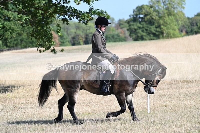 WJ7_2912 - Class 8 Ridden Tack & Turnout