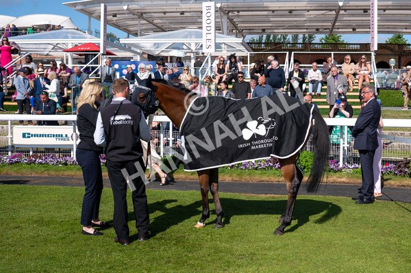 160525-Race 5-The Man-6570 - Race 5 4.15pm Irish Thoroughbred Marketing Handicap