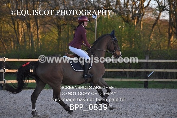 BPP_0839 - CLASS 8 Newcomers/ 1.10m Open