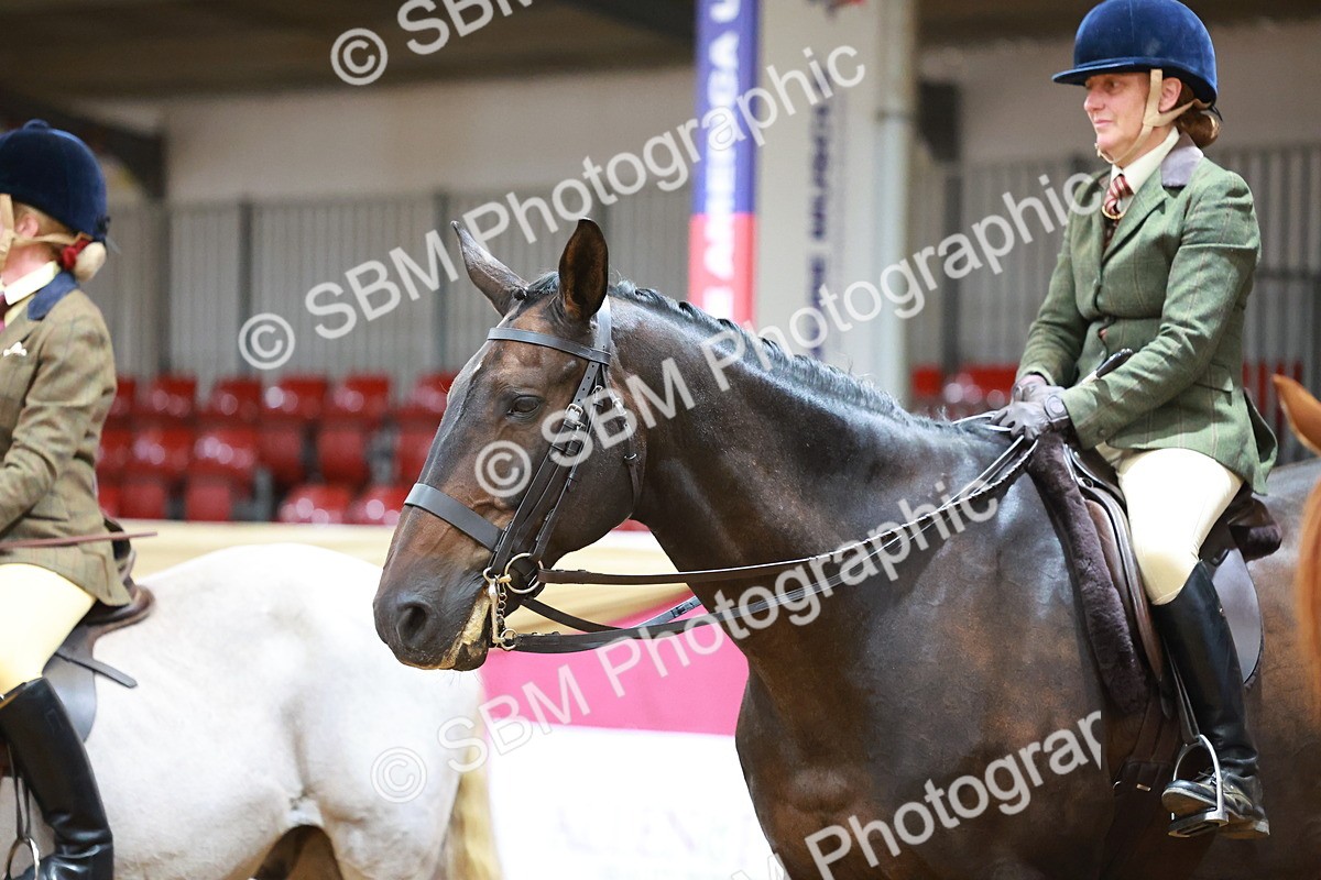 SBM_07737 - Class 101 - HOYS Veteran Qualifier - Ridden Diamond
