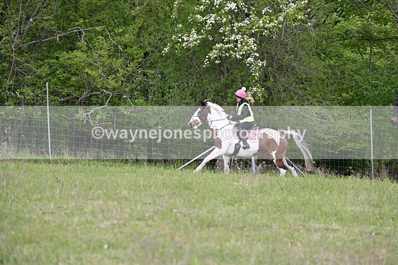 WJ6_1904 - Group 8 A&B Cameras