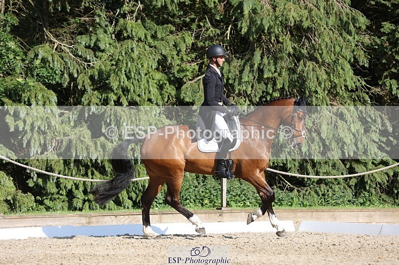 230526-174312-08018 - 180-GUEULE_DE_REVE-Arthur_Duffort-WEDTrotUp+DR