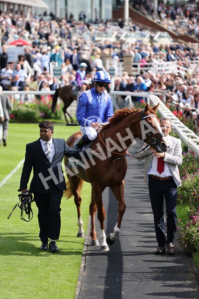 yr18082021r4-40 - Race 4 3.35pm Juddmonte International Stakes (British Champion Series race)