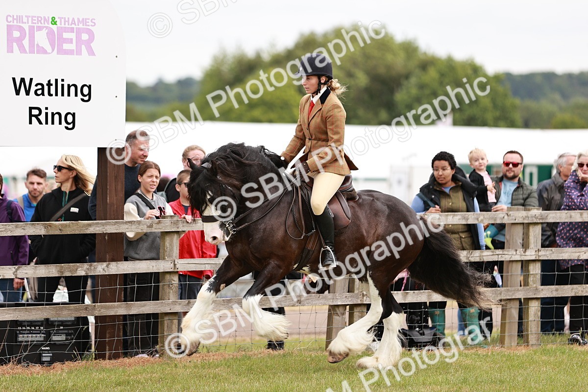 SBM_06162 - Class 39-41 TGCA In Hand and Ridden