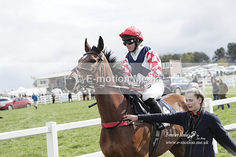 PtP 260323 0568 - New Forest Hounds Point-to-Point Larkhill 26/03/23