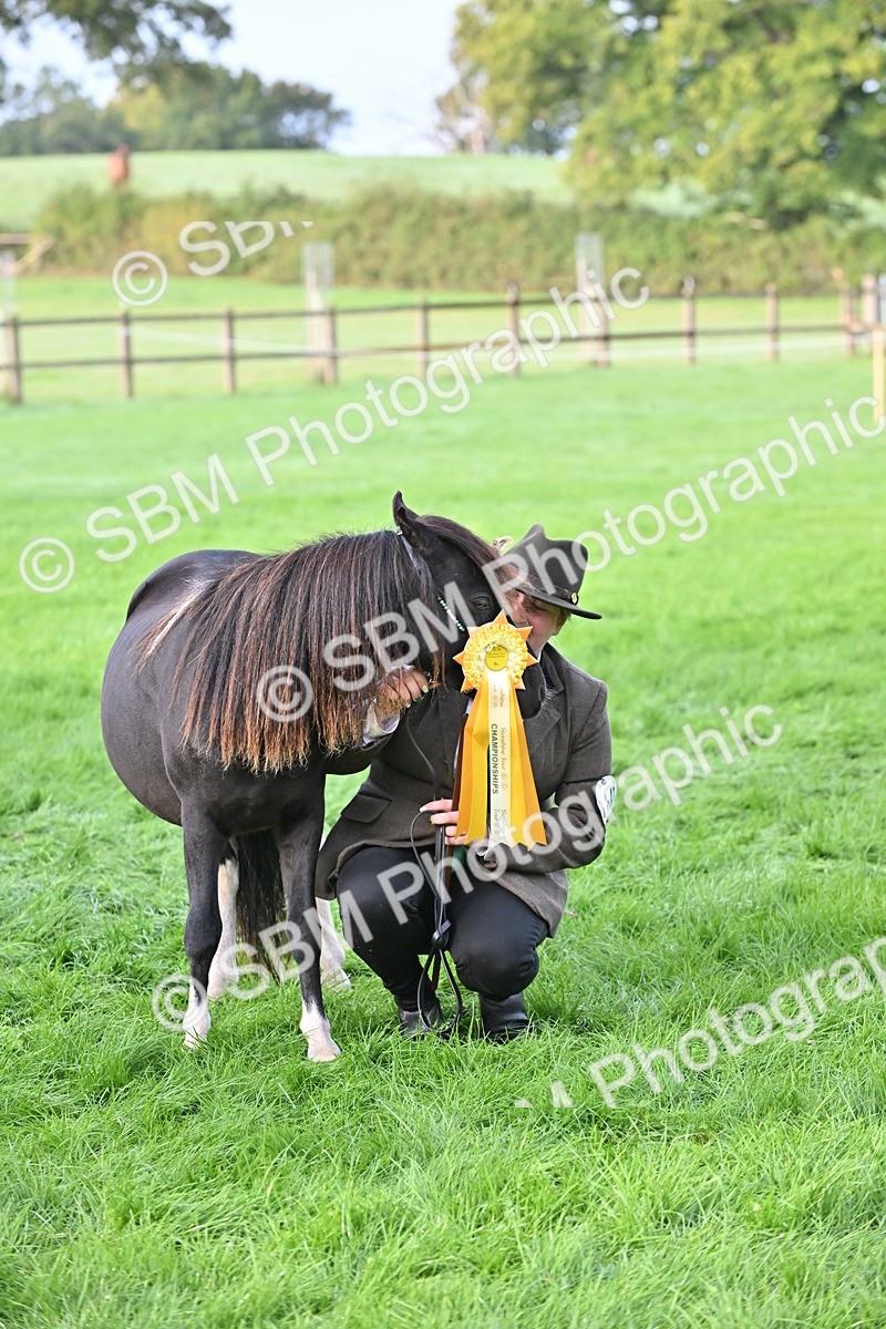 SBM_55385 - S44 - Youngstock In Hand