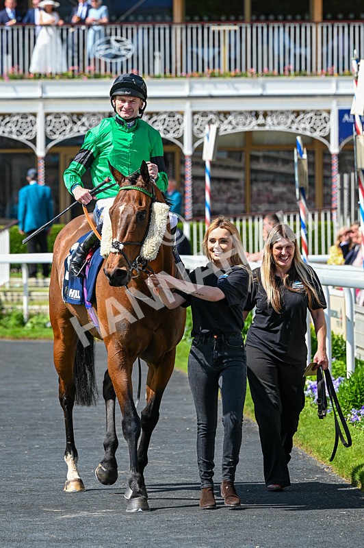 230526-Race 3-Partisan Hero-6626 - Race 3 14.40pm William Hill Epic Boost Handicap