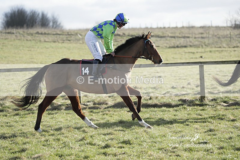 PtP 260223 1071 - South & West Wilts Point-to-Point Larkhill 26/02/23