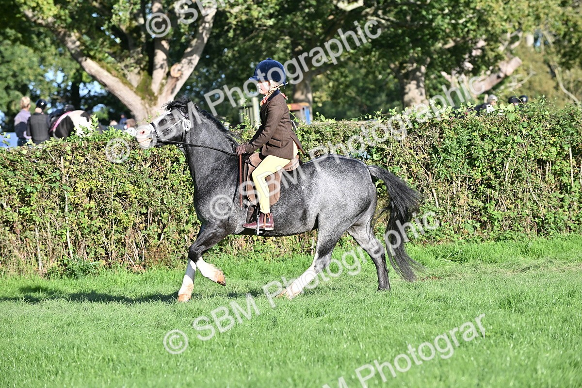 SBM_53024 - S23 - First Ridden Mountain & Moorland Pony