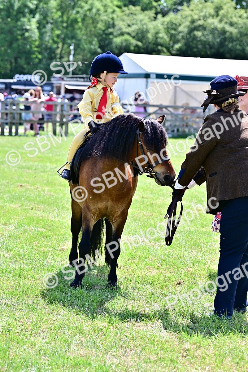 SBM_05896 - Class 59-60 - TSR M&M  Lear Rein and First Ridden Amateur of the year