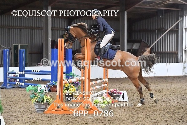 BPP_0786 - CLASS 1 Club/ Unaffiliated 80cms Open