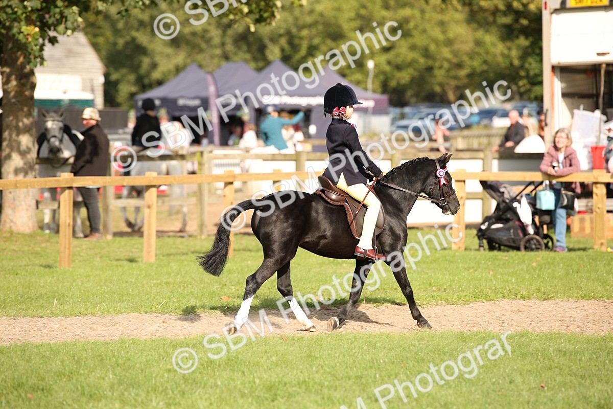 SBM_50143 - S26 - Young Veteran - Ridden