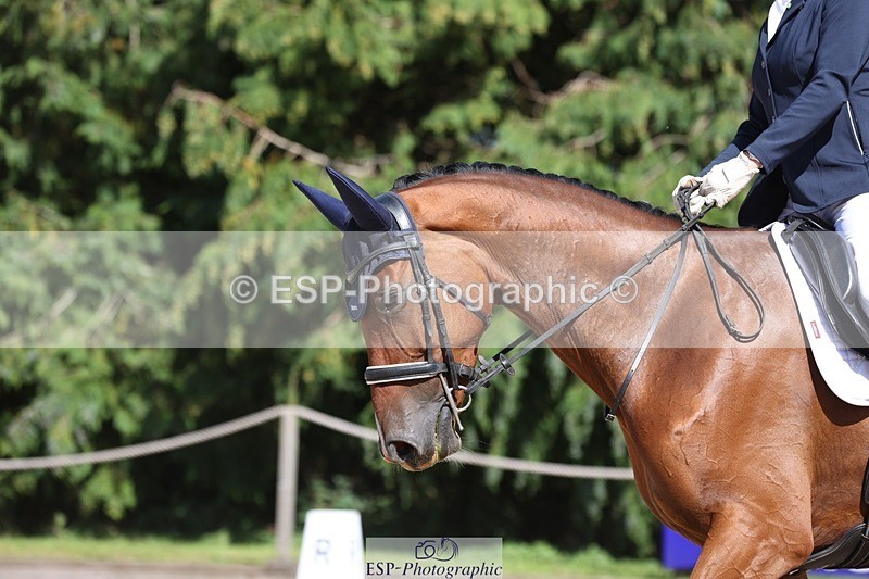 230811-153849-02492 - Cls 1 Prelim Bronze 15.00 to End