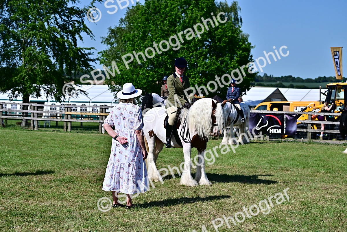 SBM_19437 - Class 101-102 - BSPS LIHS Performance Coloured Horse/Pony
