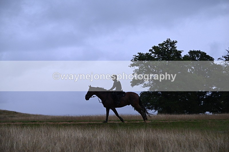 DSC_3329 - Time at Statue 13:51 to 14:55