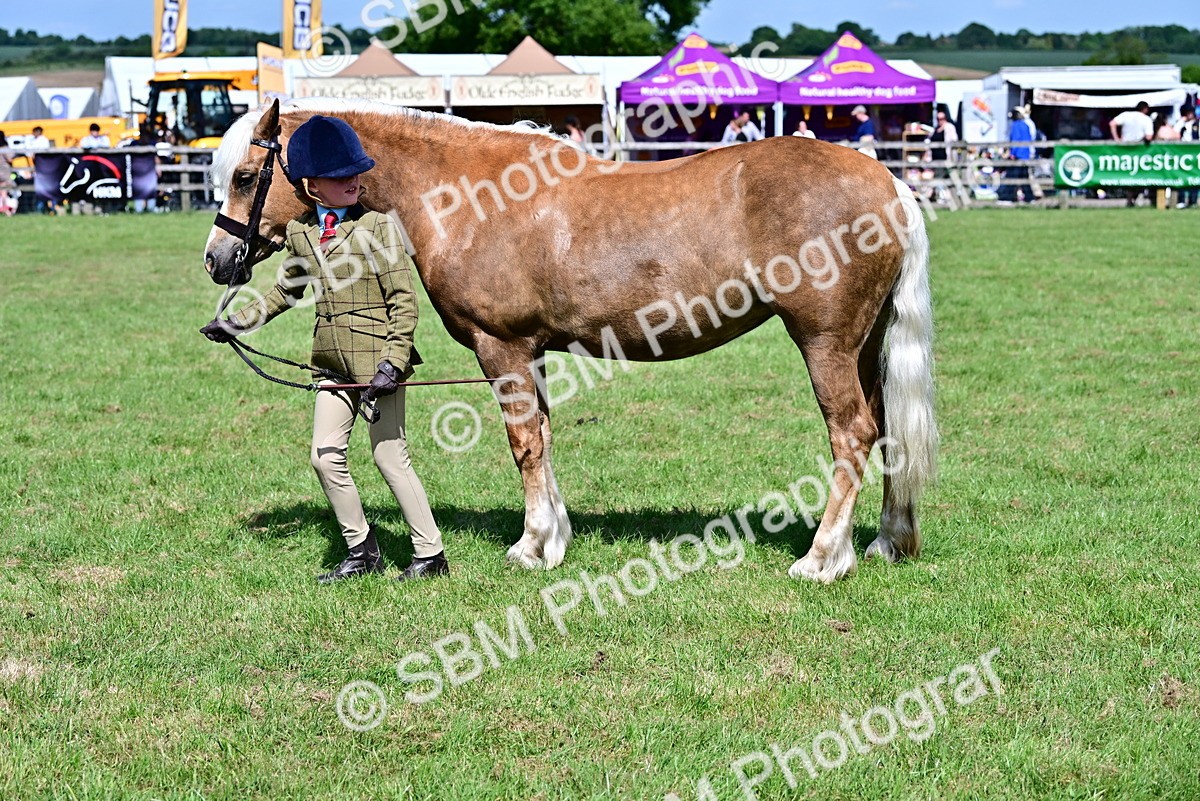 SBM_08079 - Class 61-62 - TSR  M&M Ridden Amateur of the Year