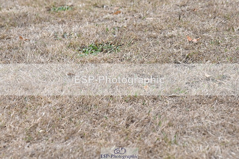 250820A-175728-12396 - Wednesday Presentations