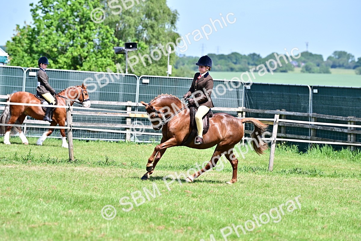 SBM_13966 - Class 95-97 - BSPS LHS Performance Ponies
