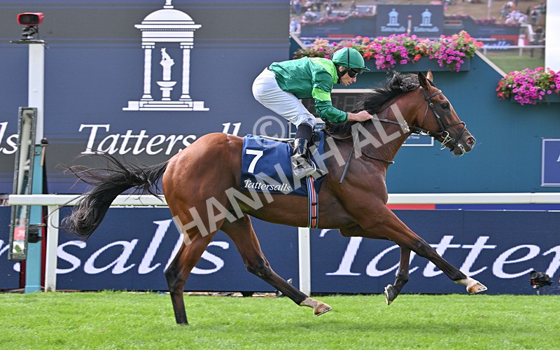 190826-052 Haffner - Race 2 14.25pm Tattersalls Acomb Stakes