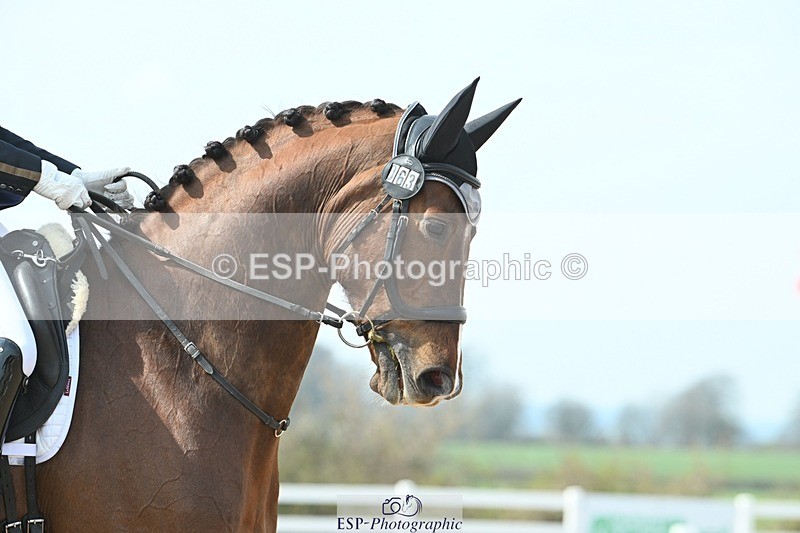 250403-125332-02464 - 063-Louise.Davison-Diagorus