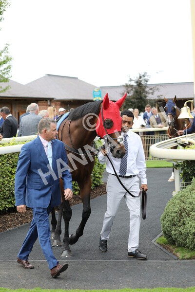 yr17082022r4-1 - Race 4 3.35pm Juddmonte International Stakes (British Champions Series Race)