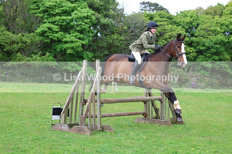 3E7A2482 - Classes 30 and 31: 80cm Working Hunter