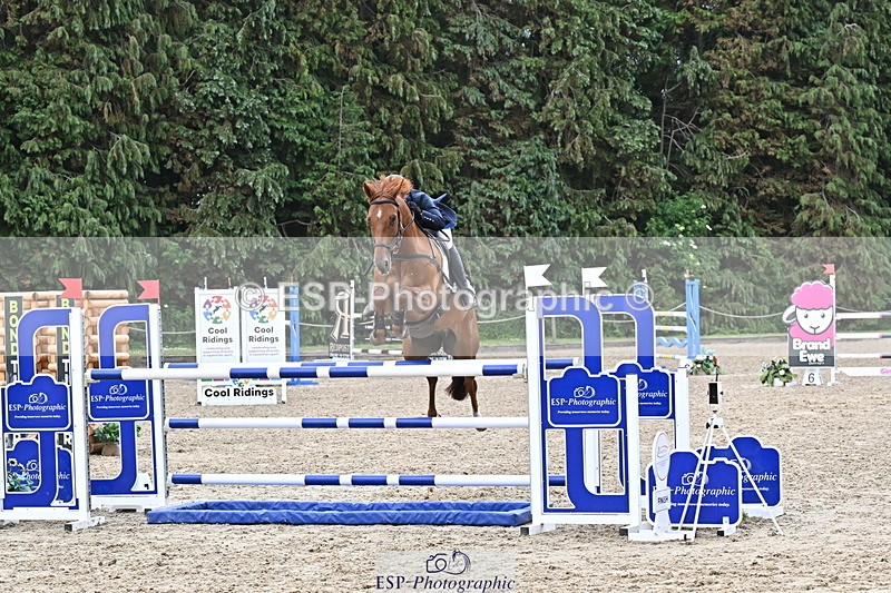 250524A-133005-11629 - D-453-Daisy.Berkeley-DIESE.DU.FIGUIER