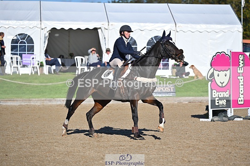 241027-120018-17087 - 365-Charlotte.Cutler-HOLY.STREET